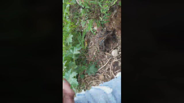 Synbaherrera  07-10-2022